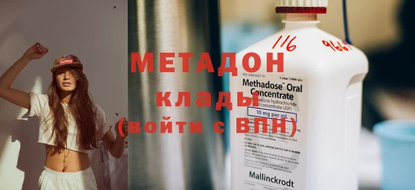 индика Алексин