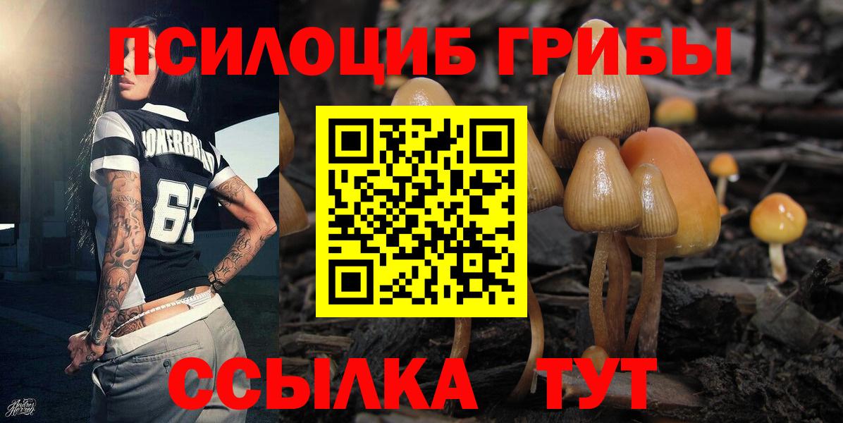 Псилоцибиновые грибы Psilocybine cubensis  Вход с VPN  Волоколамск 