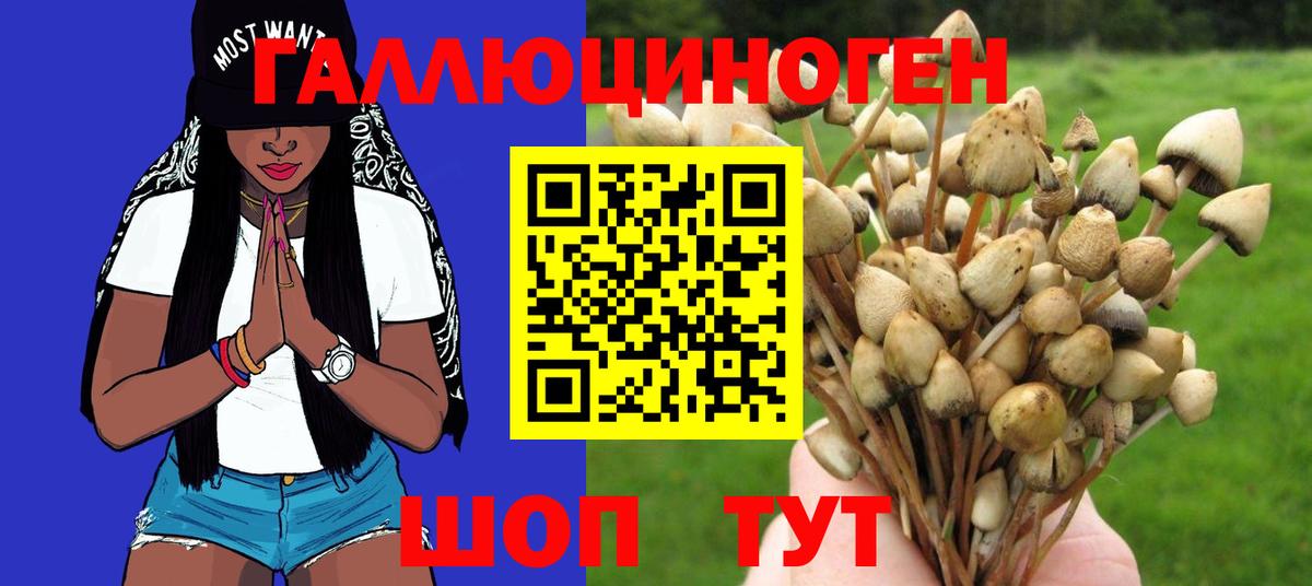 Галлюциногенные грибы Magic Shrooms Волоколамск